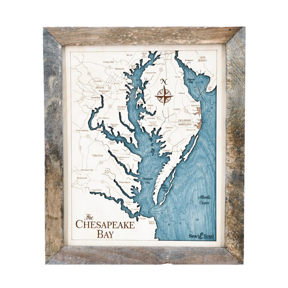 Chesapeake Bay Wall Art Rustic Pine Accent with Blue Green Water