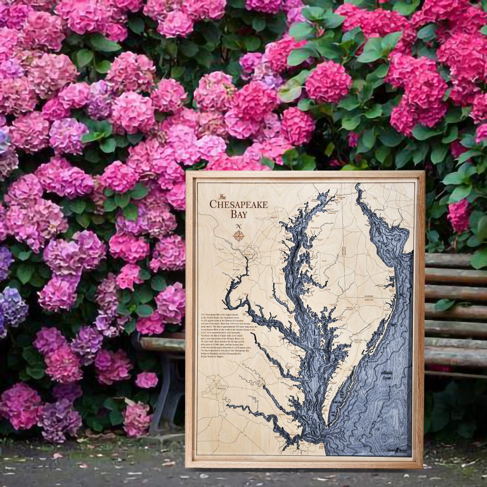 Chesapeake Bay Nautical Map Wall Art Oak Accent with Deep Blue Water Sitting Outdoors by Flowers and Park Bench