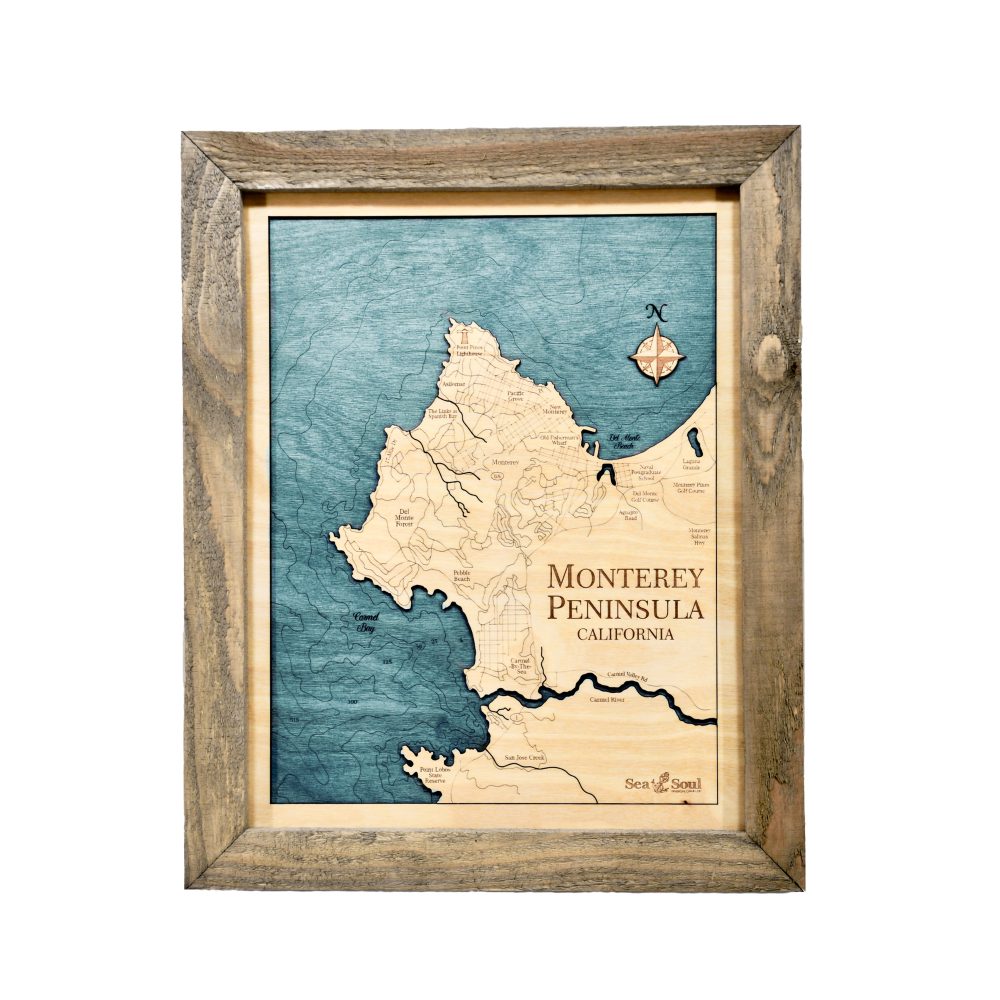 Monterey Peninsula Wall Art Pine Accent with Blue Green Water