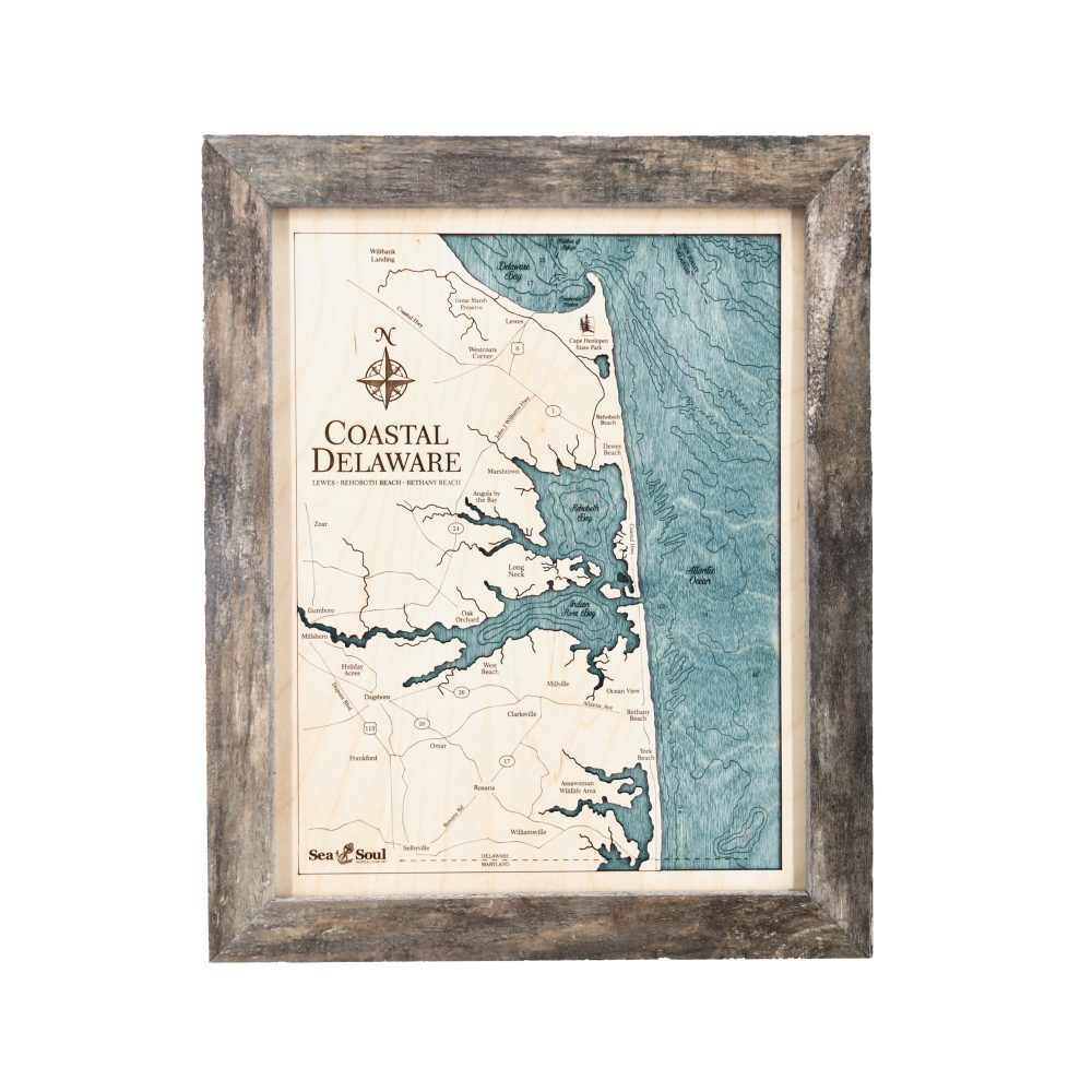 Coastal Delaware Wall Art Rustic Pine Accent with Blue Green Water