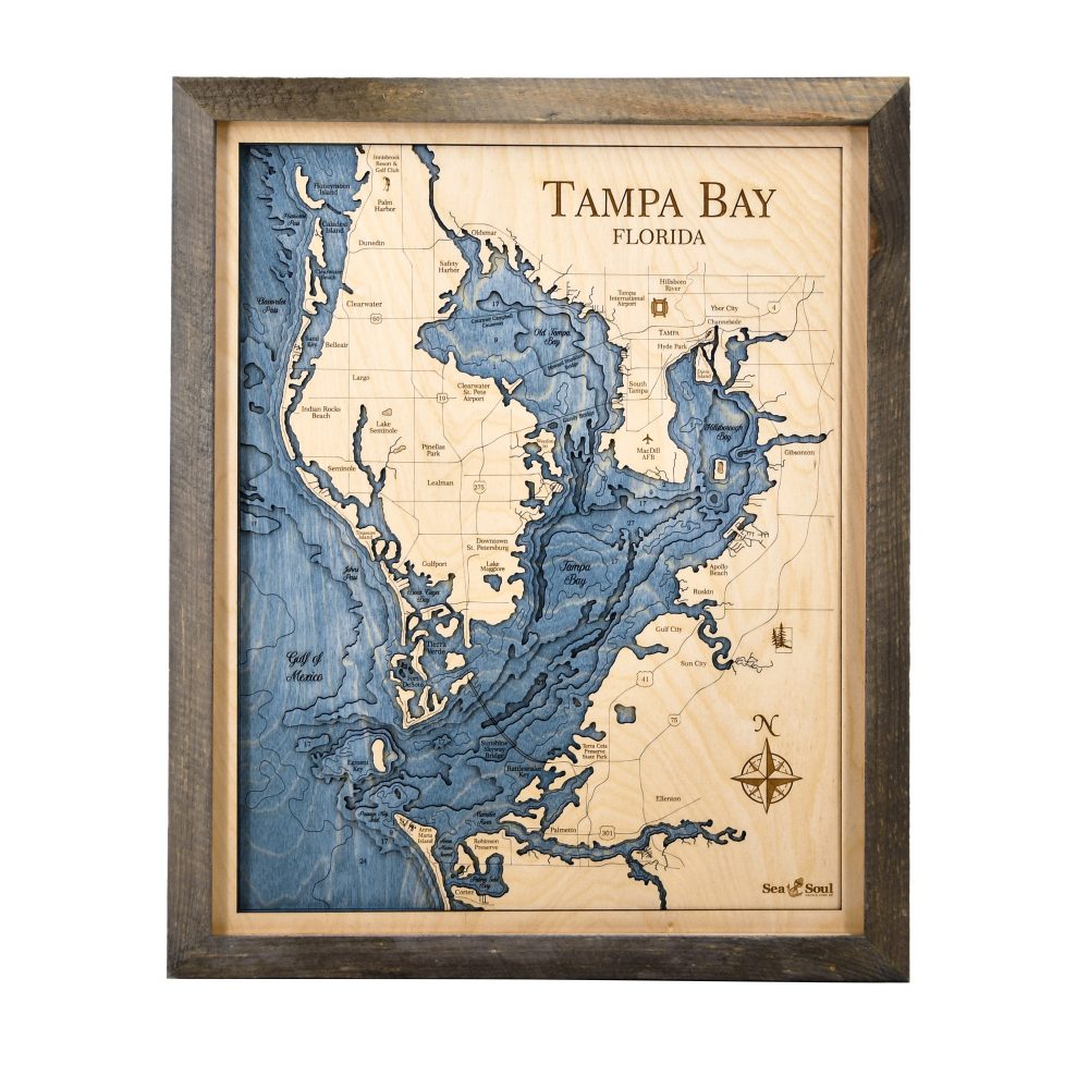 tampa bay wall art 16x20 pine frame deep blue water
