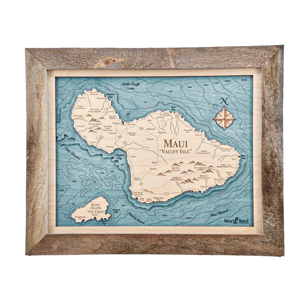Maui Wall Art 13x16 Rustic Pine Accent with Blue Green Water