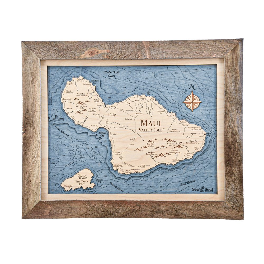 Maui Wall Art 13x16 Rustic Pine Accent with Deep Blue Water