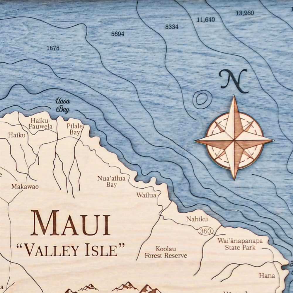Maui Wall Art 13x16 Rustic Pine Accent with Deep Blue Water Detail Shot 2