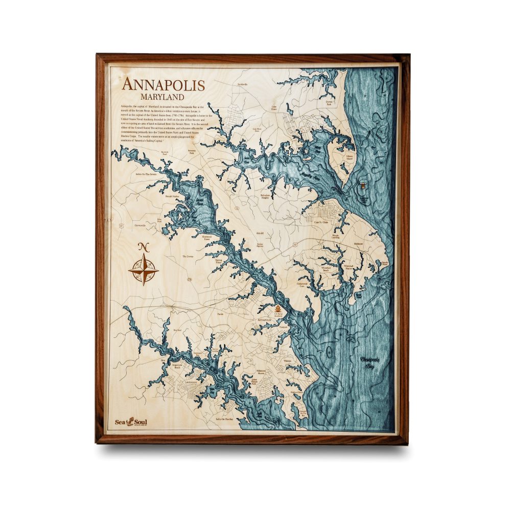 Annapolis Nautical Map Wall Art Walnut Accent with Blue Green Water