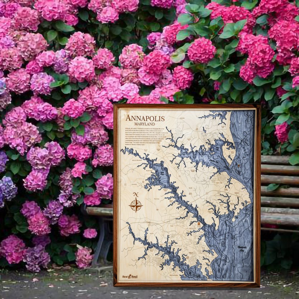 Annapolis Nautical Map Wall Art Walnut Accent with Deep Blue Water Sitting Outside by Bench and Flowers