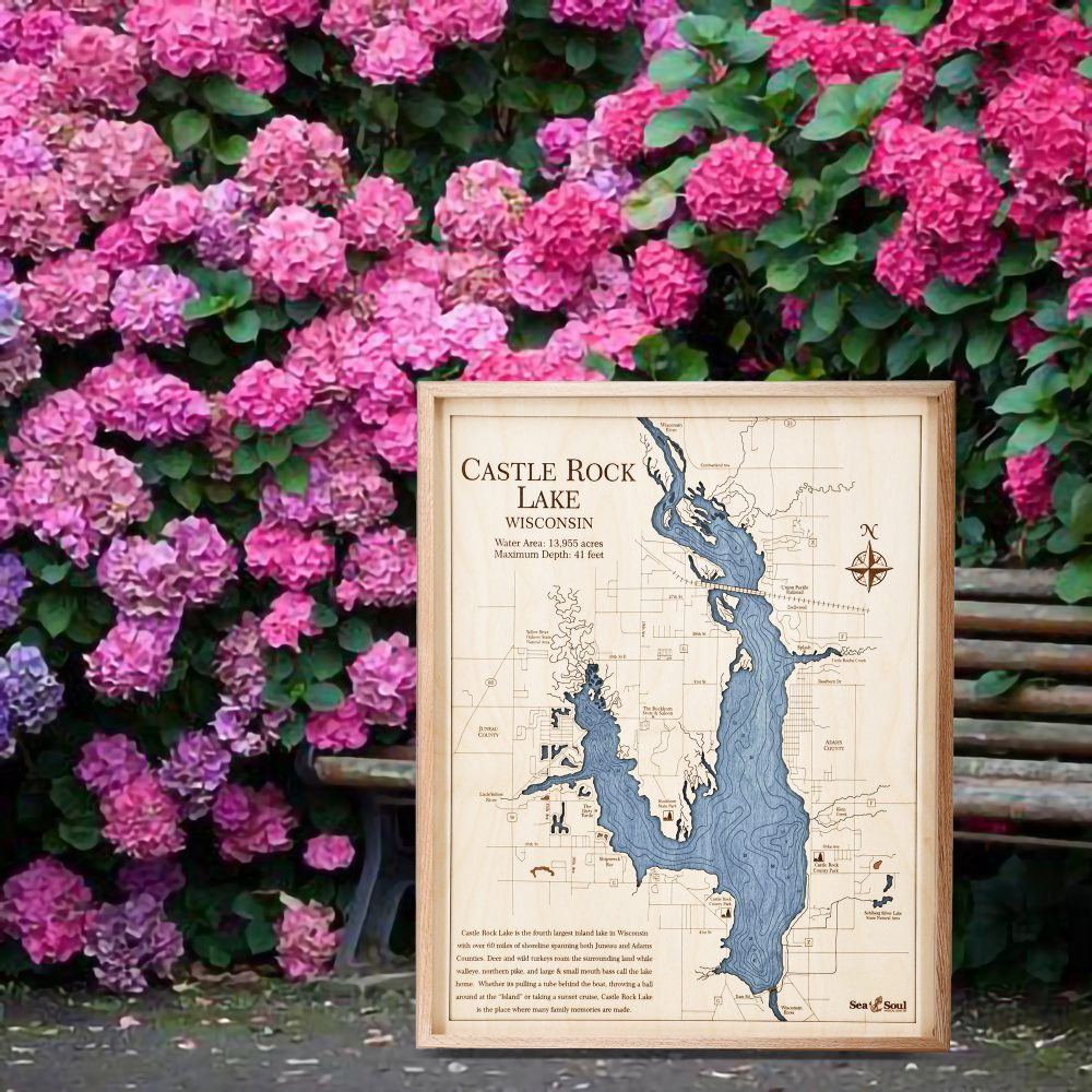 Castle Rock Lake Nautical Map Wall Art Oak Accent with Deep Blue Water Sitting Outside by Bench and Flowers