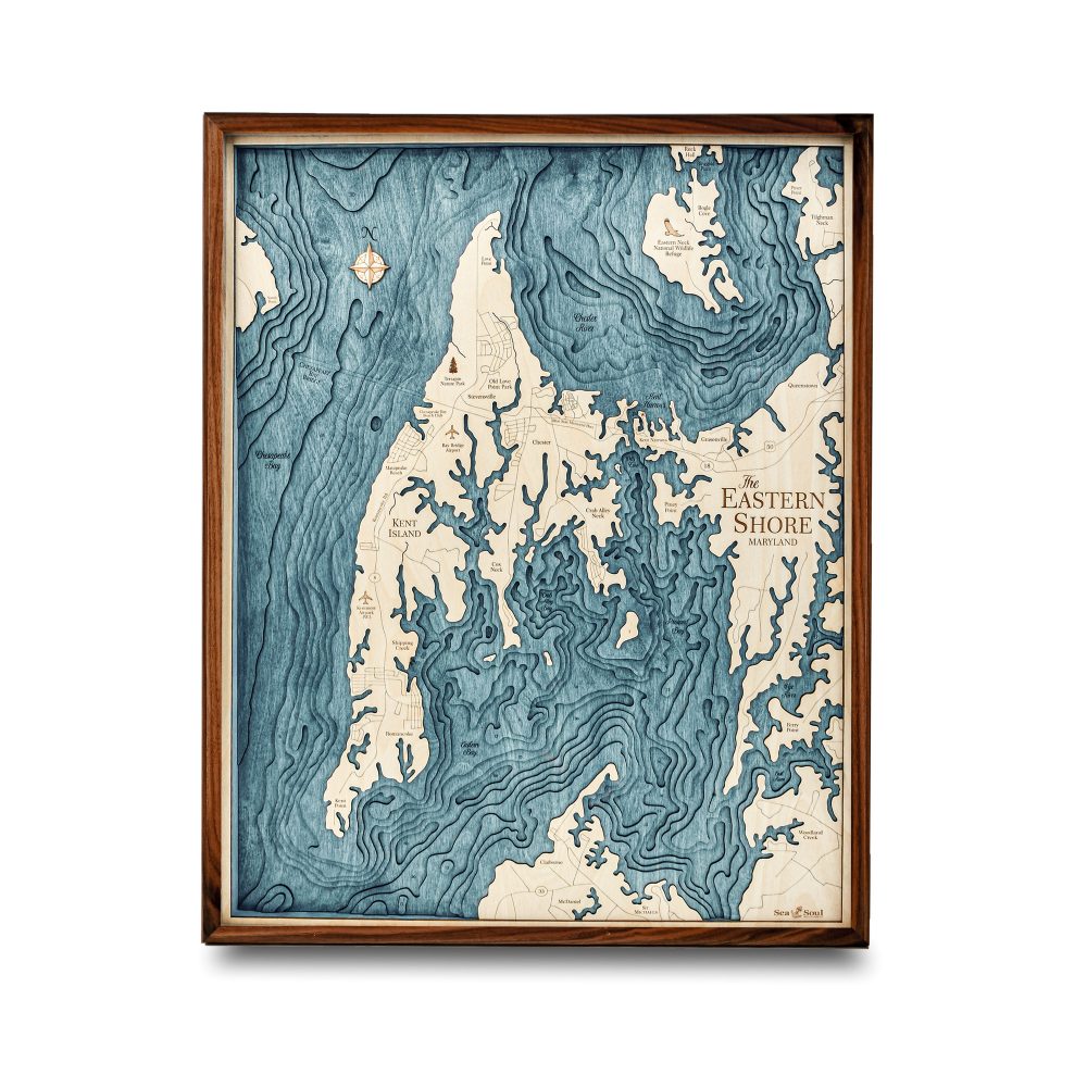 Eastern Shore Nautical Map Wall Art Walnut Accent with Blue Green Water