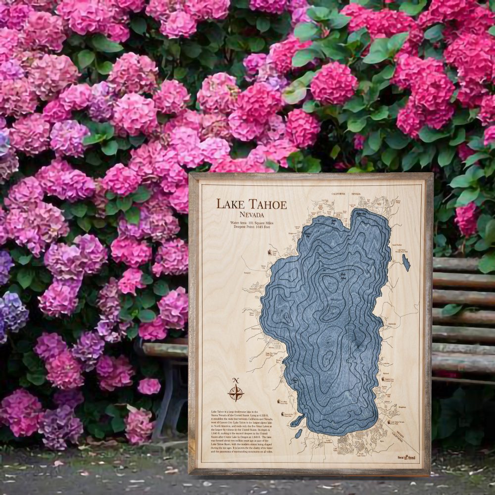 Lake Tahoe Nautical Map Wall Art Rustic Pine Accent with Deep Blue Water Sitting Outside by Flowers and Park Bench