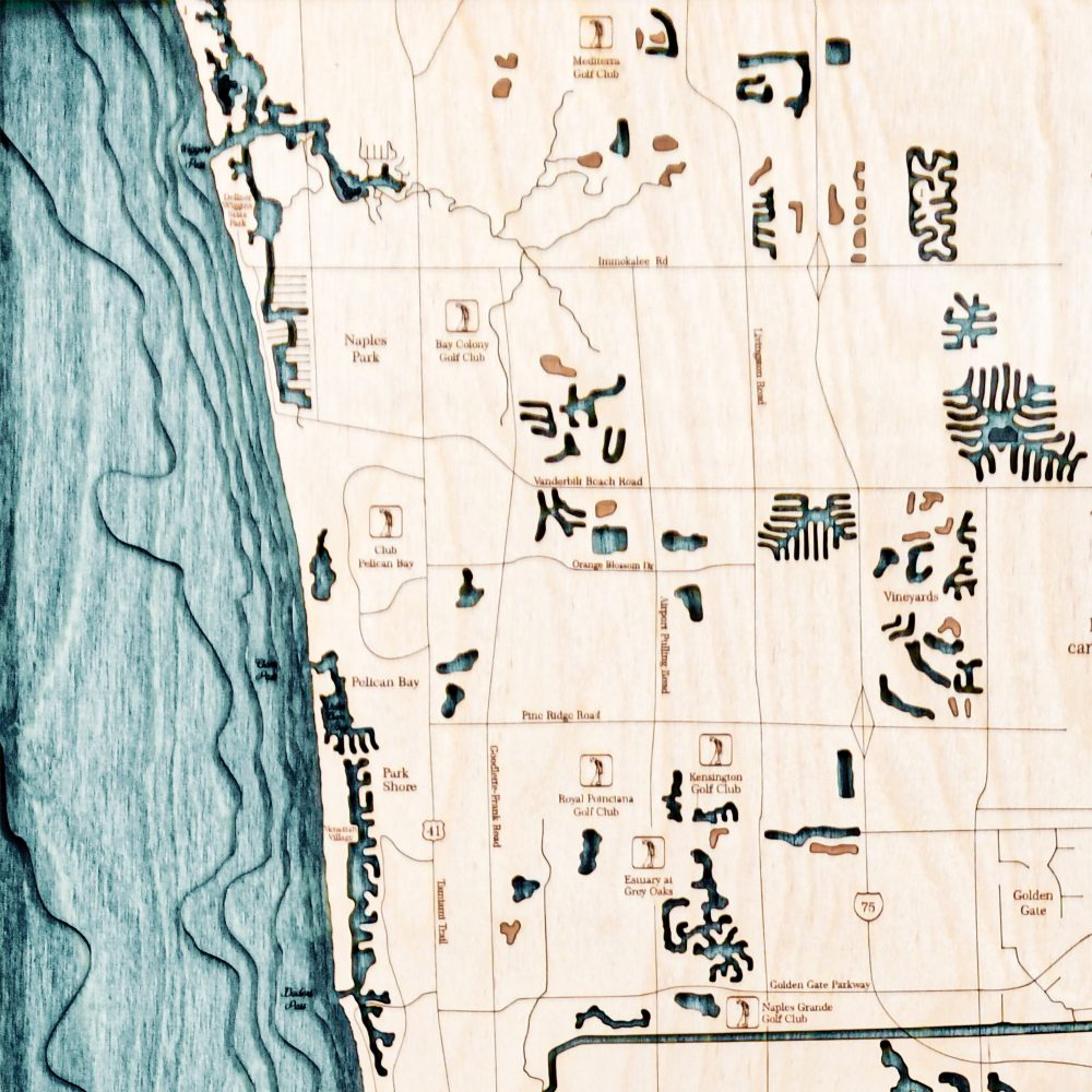 Naples Nautical Map Wall Art Oak Accent with Blue Green Water Detail Shot 1