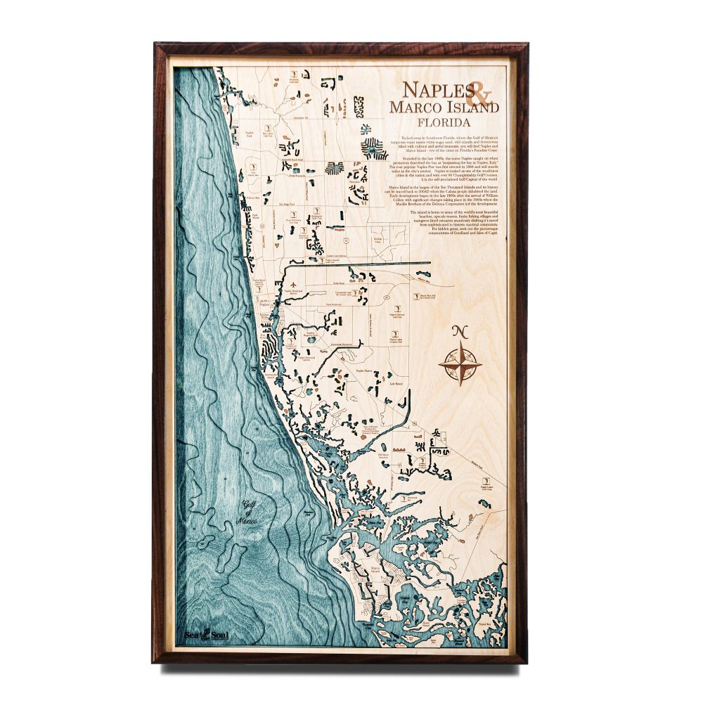 Naples Nautical Map Wall Art Walnut Accent with Blue Green Water