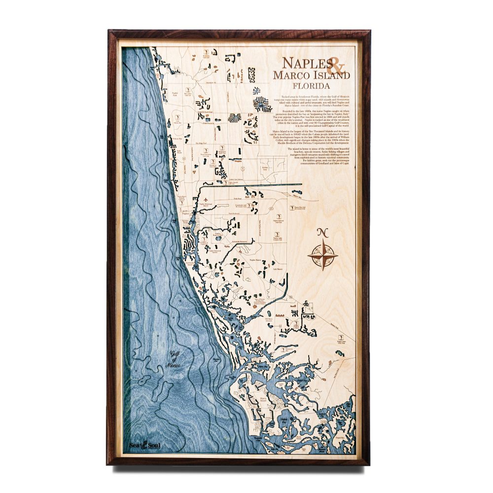Naples Nautical Map Wall Art Walnut Accent with Deep Blue Water