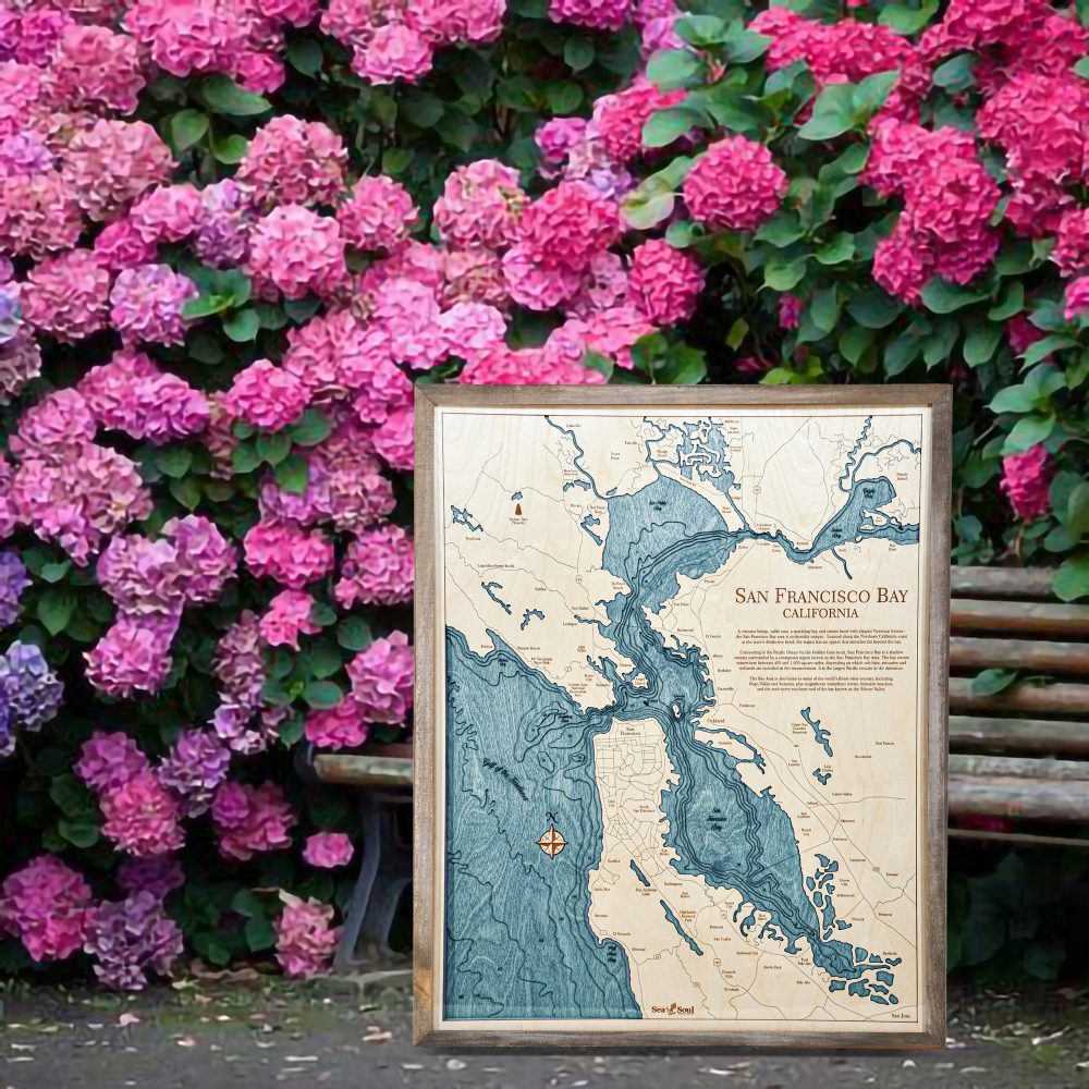 San Francisco Nautical Map Wall Art Rustic Pine Accent with Blue Green Water Sitting on Ground by Flowers and Park Bench