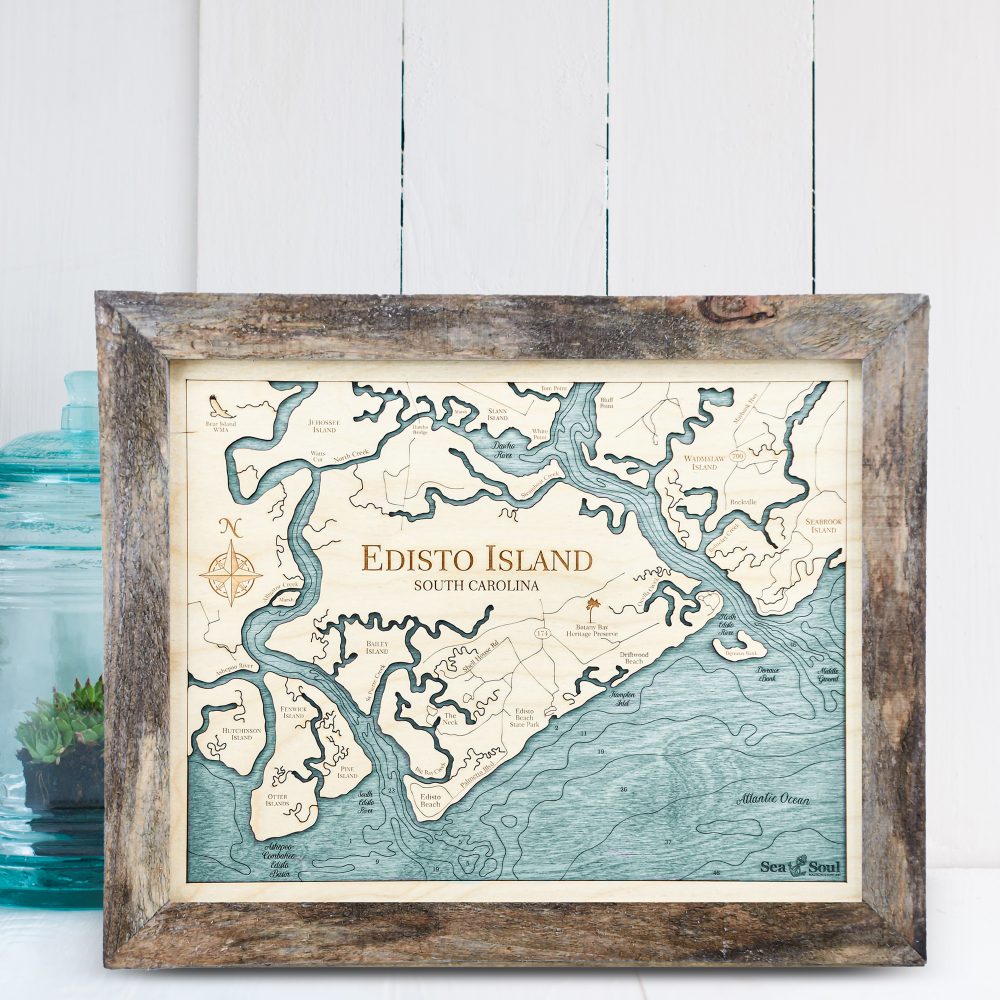 Edisto Island Nautical Wall Art Rustic Pine Accent with Blue Green Water Sitting by Succulents