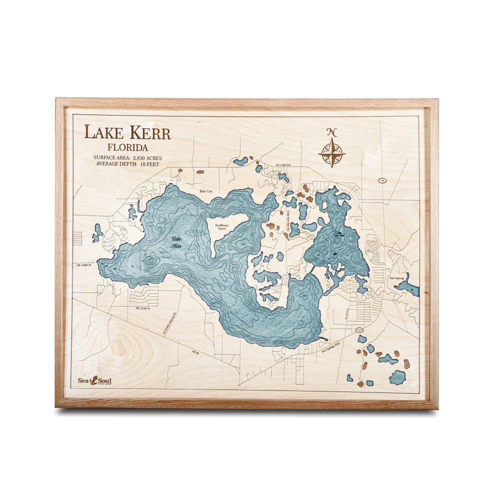 Lake Kerr Nautical Map Wall Art Oak Accent with Blue Green Water