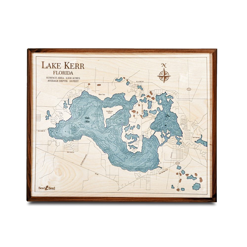 Lake Kerr Nautical Map Wall Art Walnut Accent with Blue Green Water