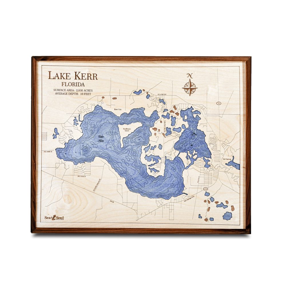 Lake Kerr Nautical Map Wall Art Walnut Accent with Deep Blue Water