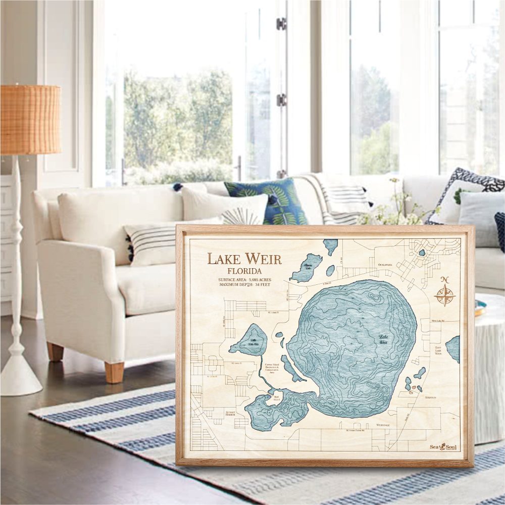 Lake Weir Nautical Map Wall Art Oak Accent with Blue Green Water Sitting by Coffee Table and Couch