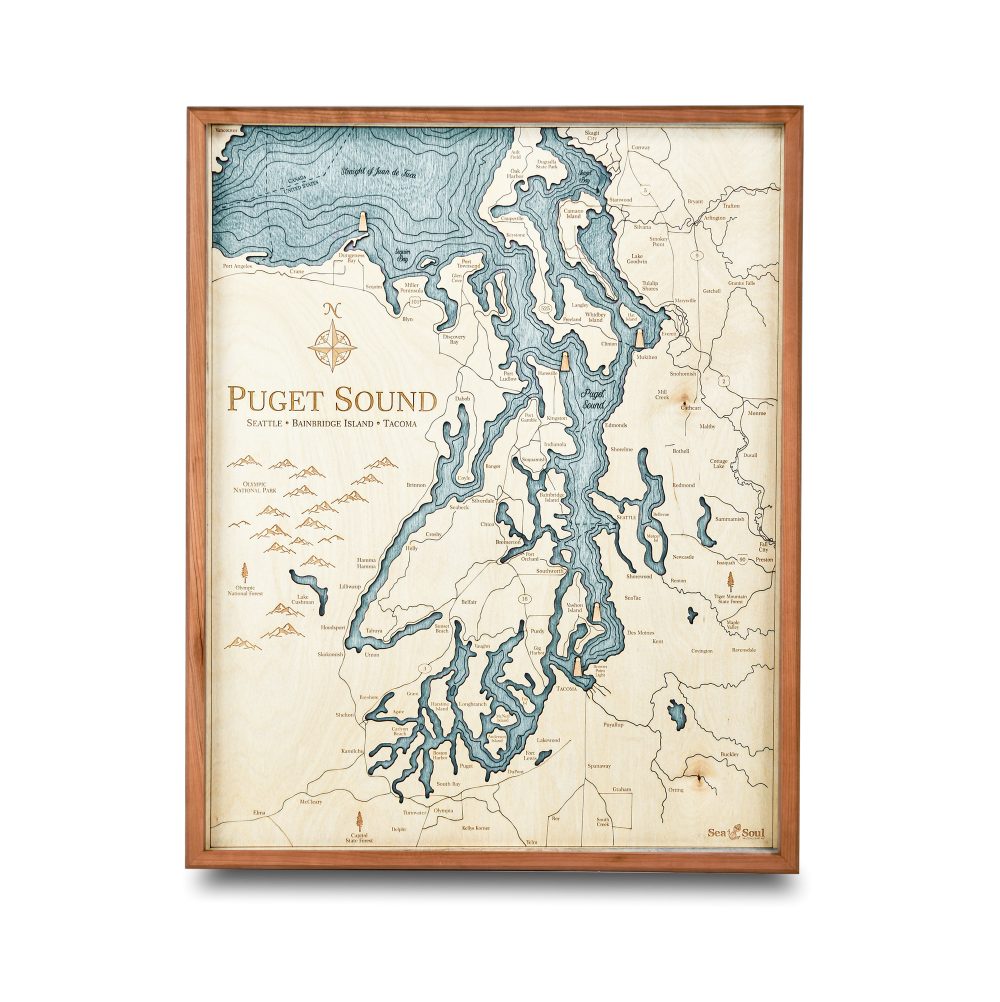 Puget Sound Nautical Map Wall Art Cherry Accent with Blue Green Water