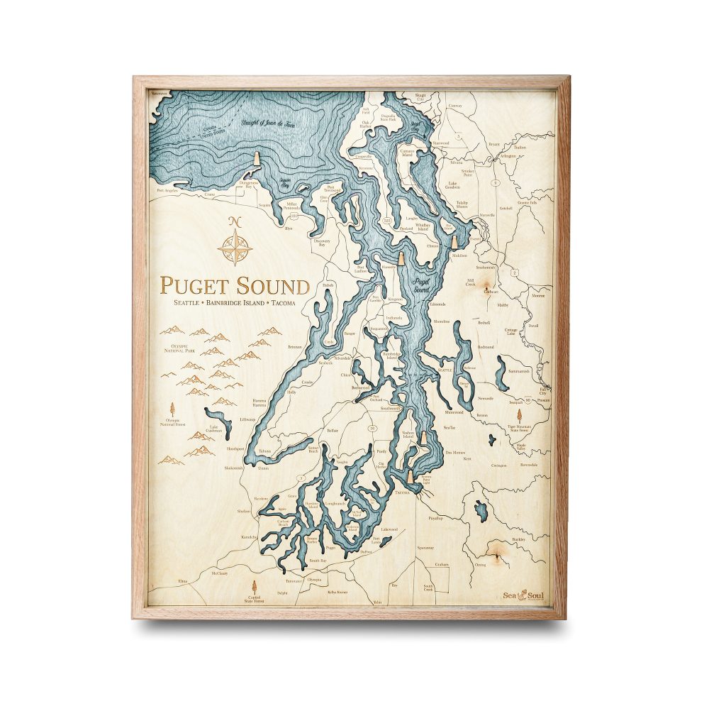 Puget Sound Nautical Map Wall Art Oak Accent with Blue Green Water