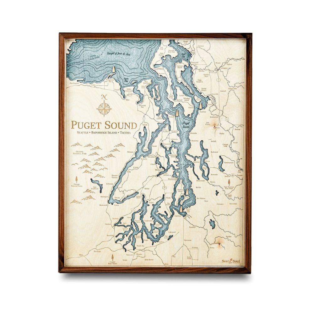 Puget Sound Nautical Wall Art Walnut Accent with Blue Green Water