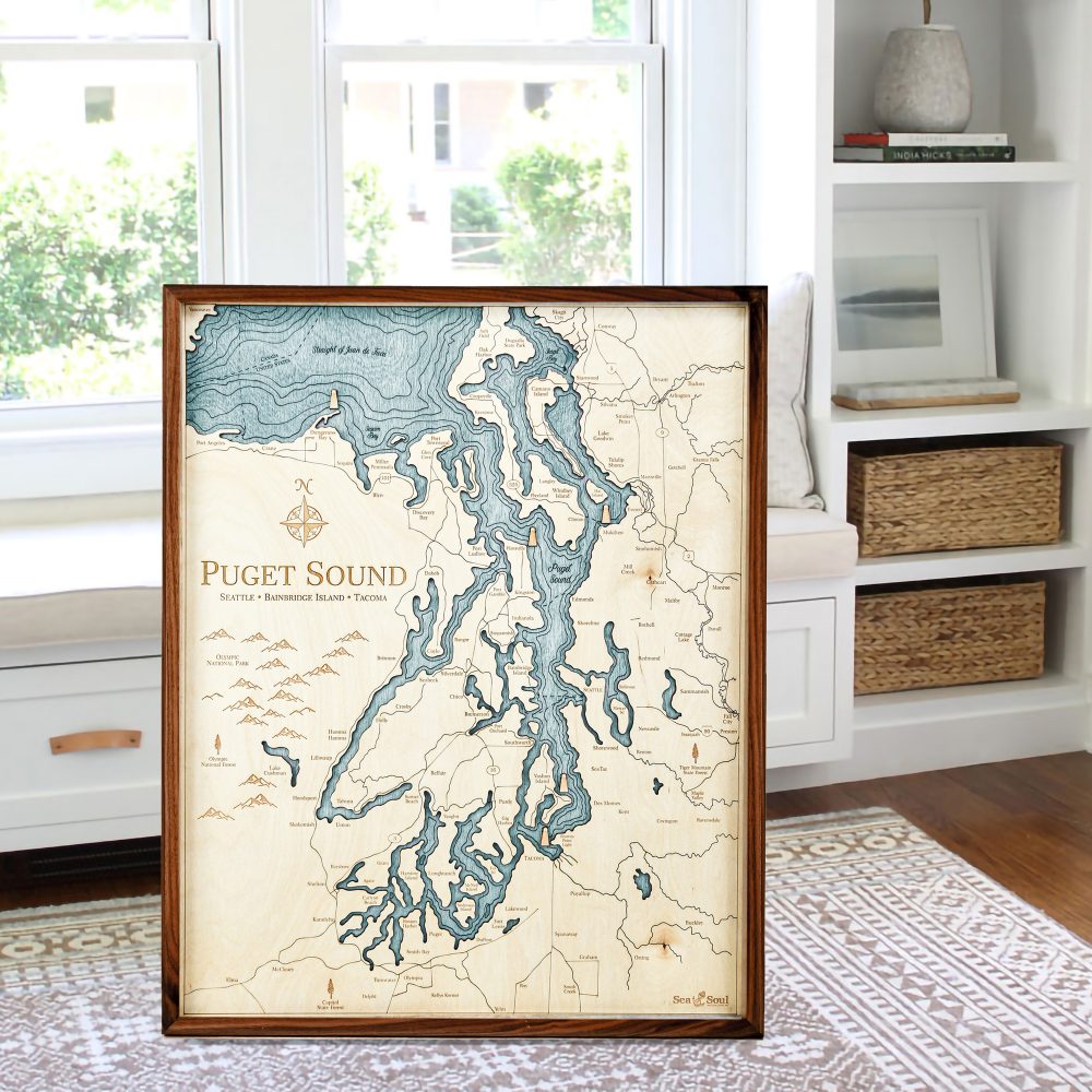 Puget Sound Nautical Wall Art Walnut Accent with Blue Green Water Sitting by Window
