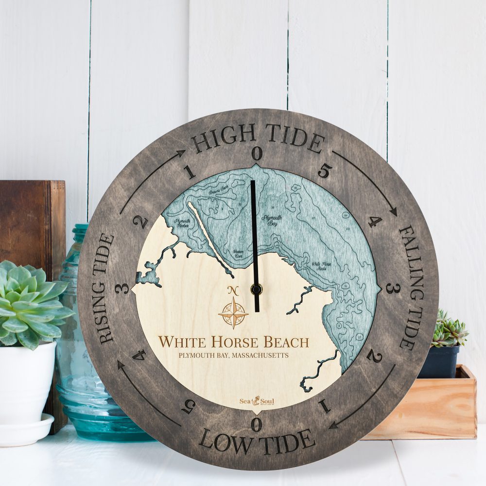 White Horse Beach Tide Clock Driftwood Accent with Blue Green Water Sitting by Succulents