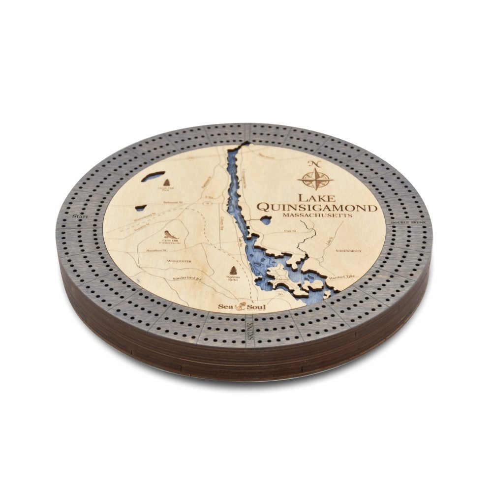 lake quinsigamond driftwood accent angle image