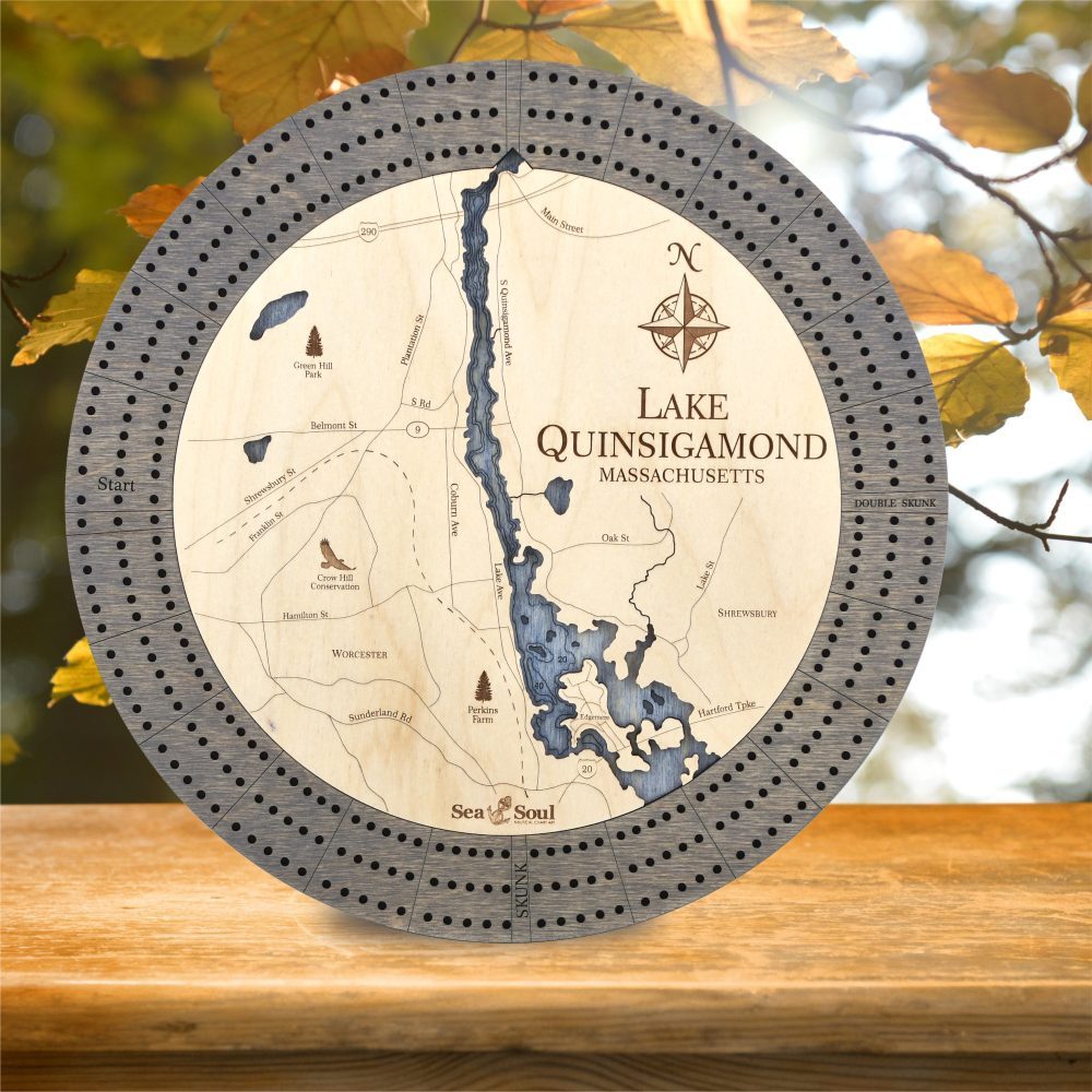 lake quinsigamond driftwood accent db water image