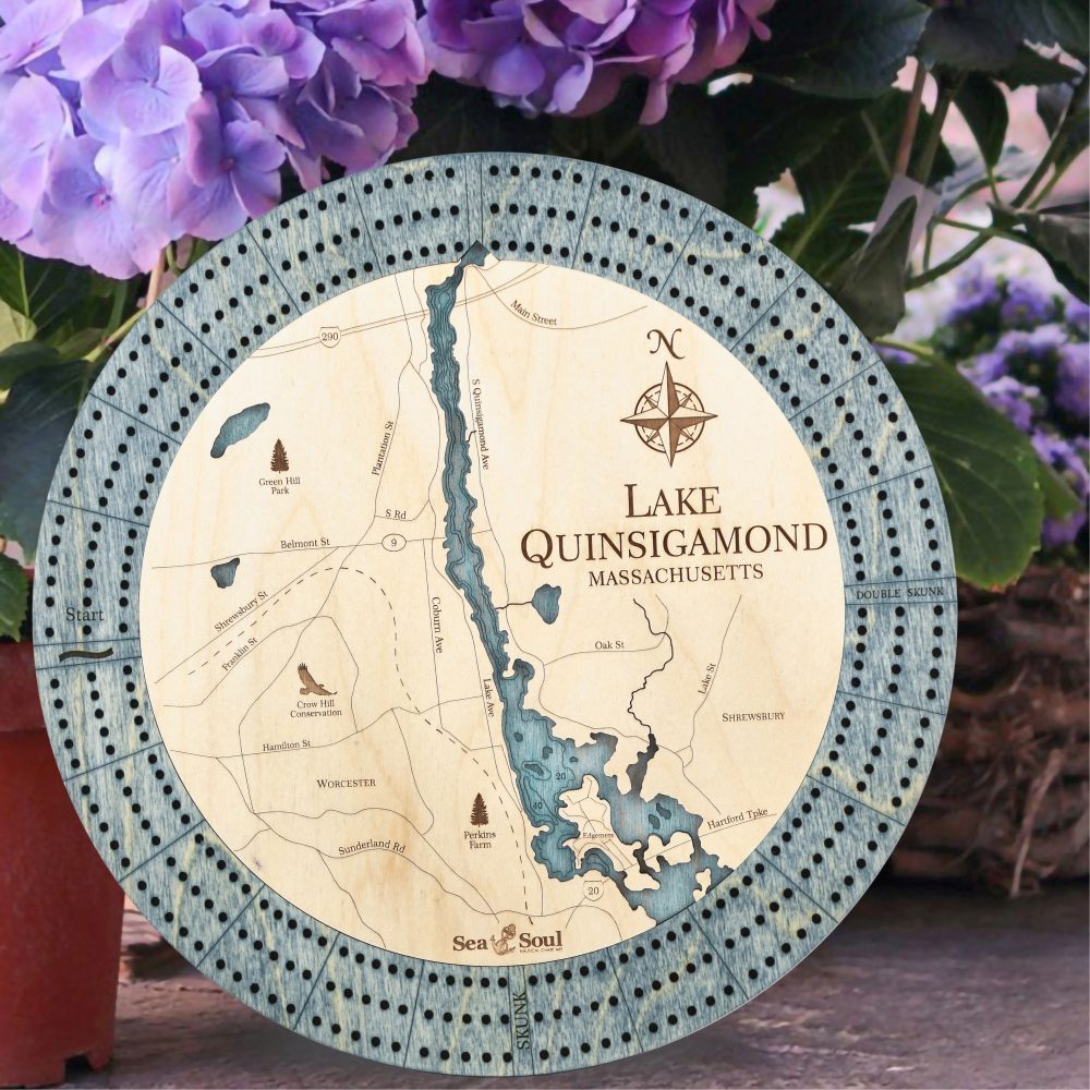 lake quinsigamond worn navy accent bg water image