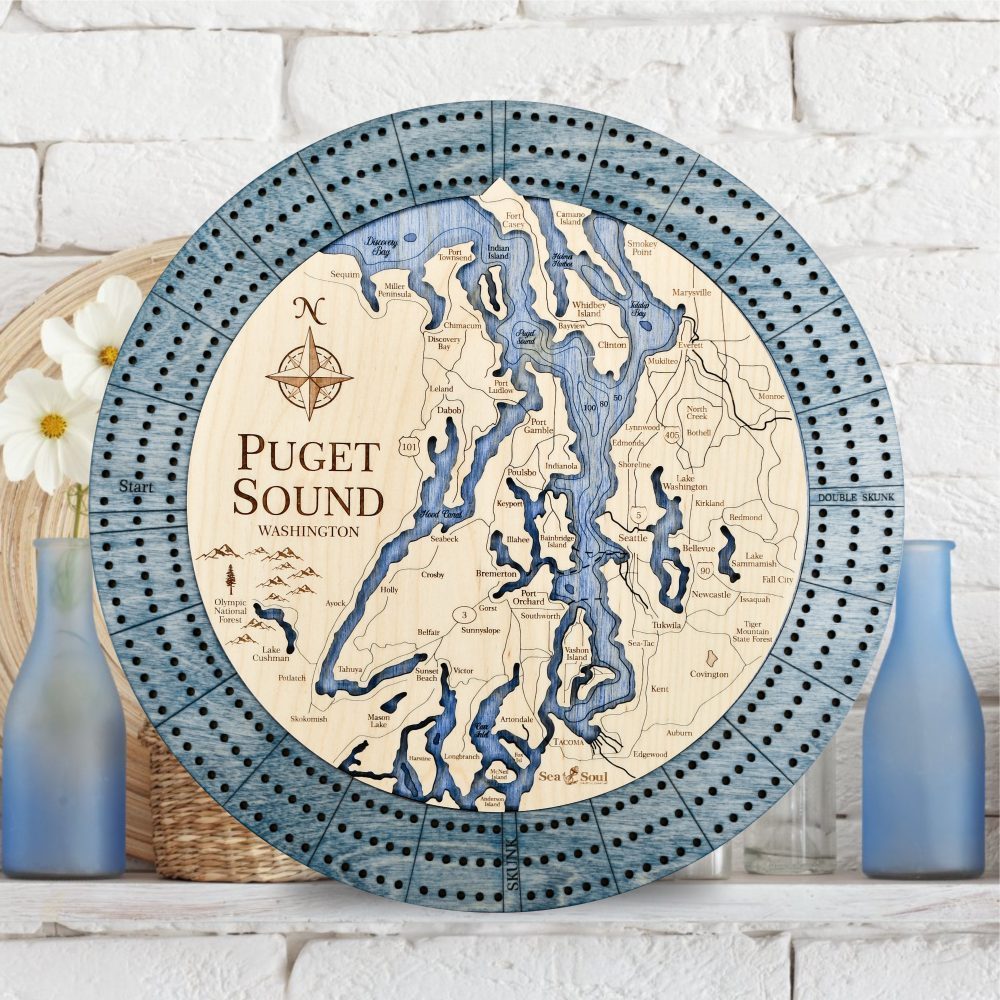 puget sound bleached blue accent db water image