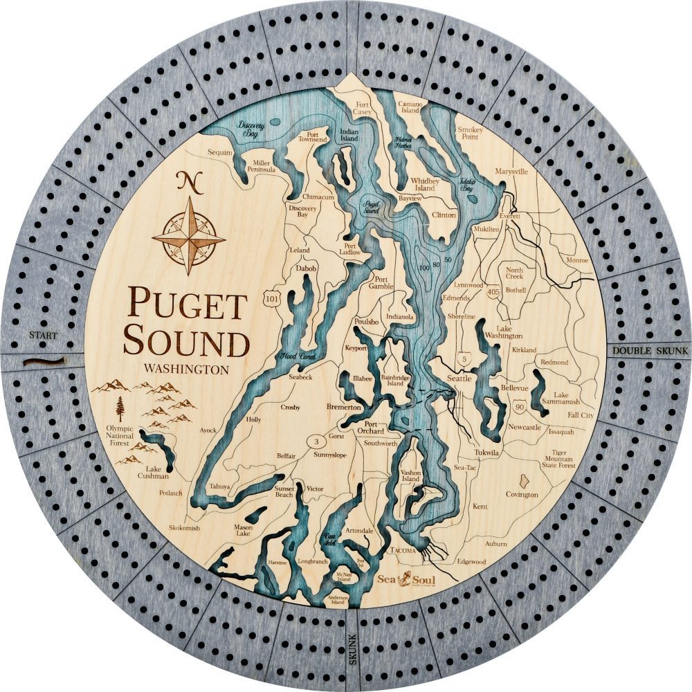 puget sound driftwood accent bg water no border image