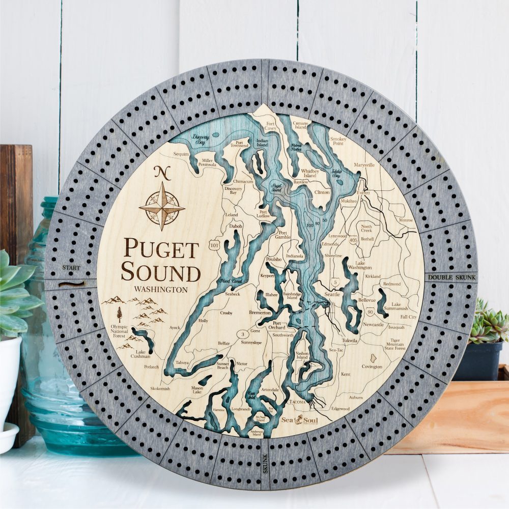 puget sound driftwood accent bg water image