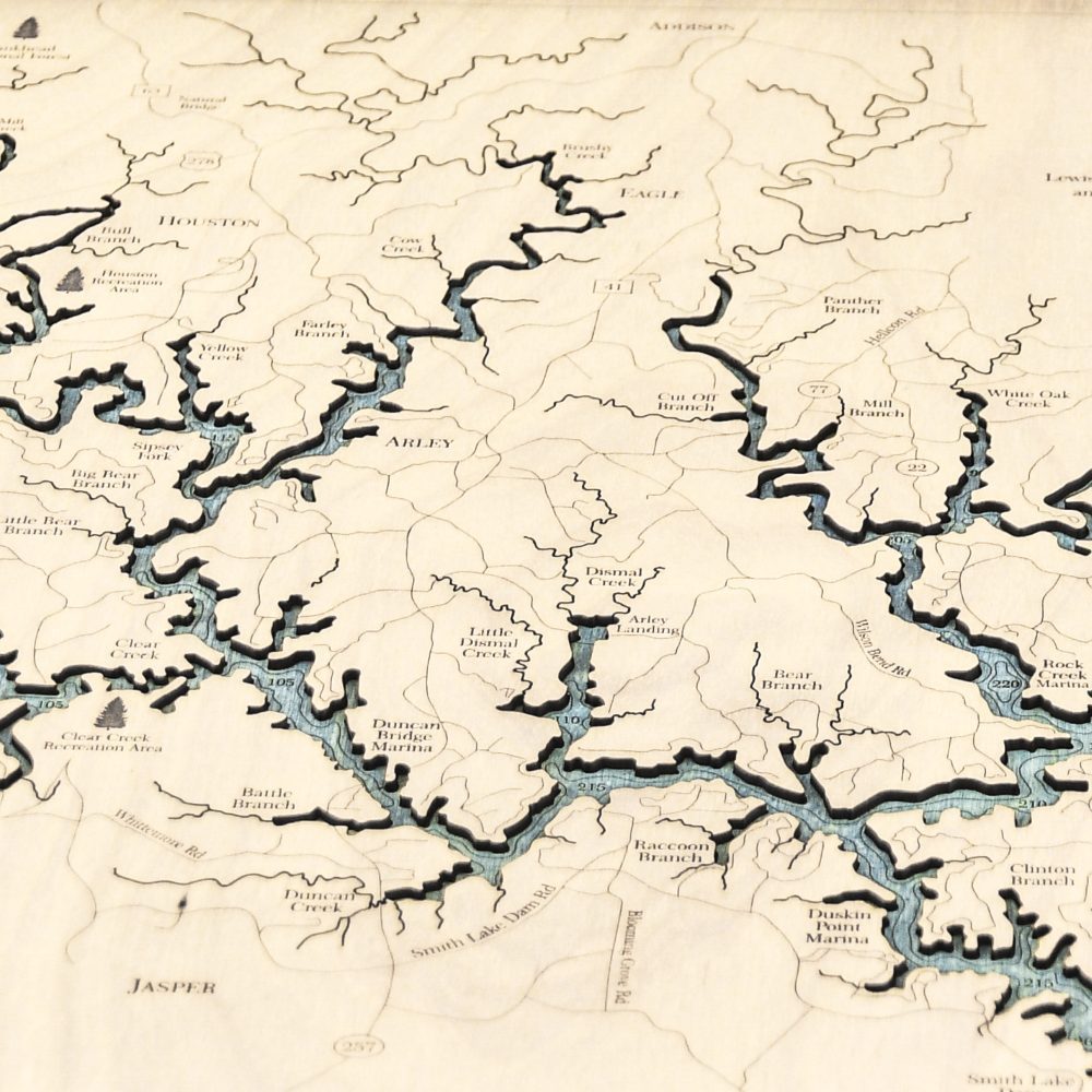 al lewis smith lake bg detail image