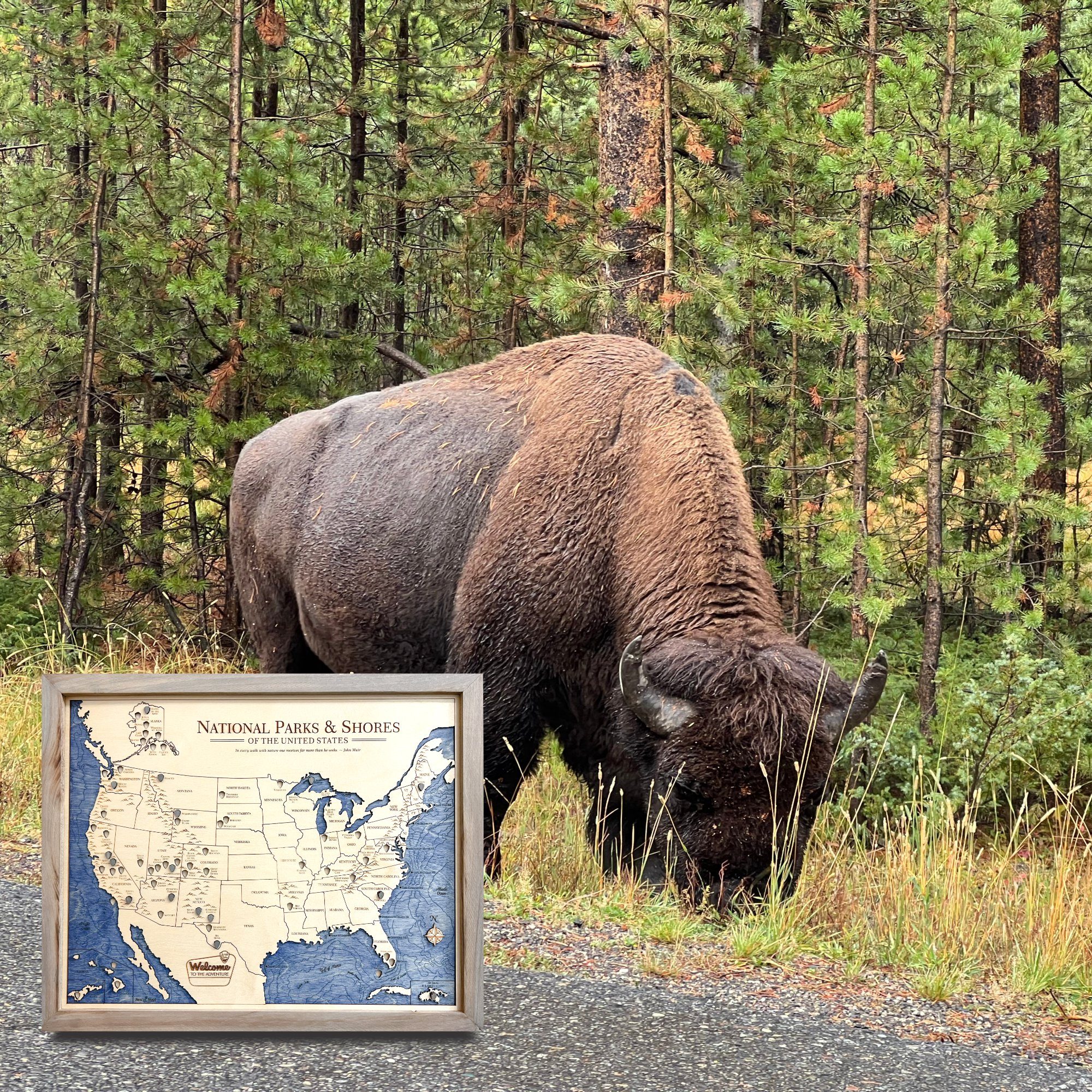 National Parks Adventure Map 16x20 in use