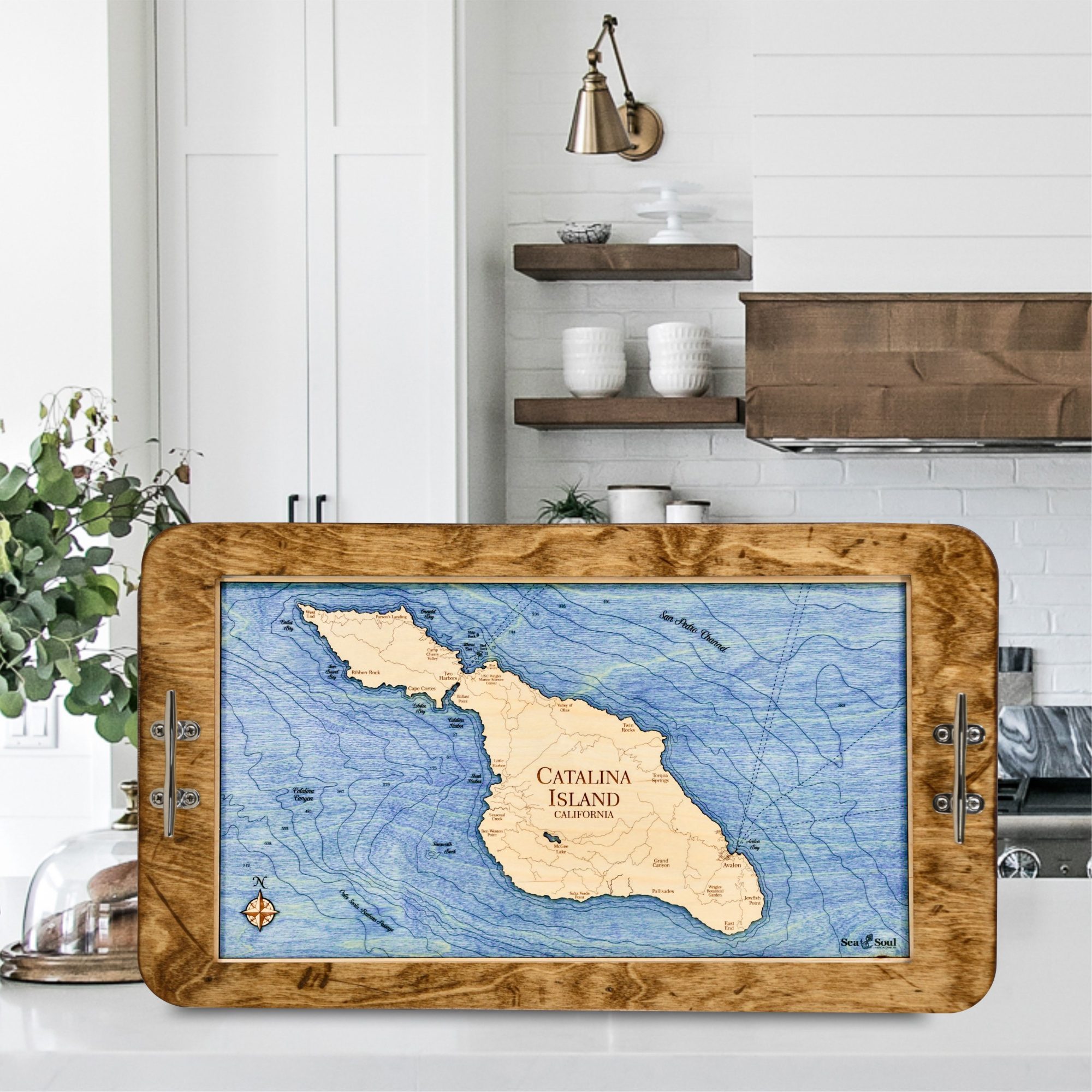 Catalina Island Distressed Coffee with Deep Blue Water