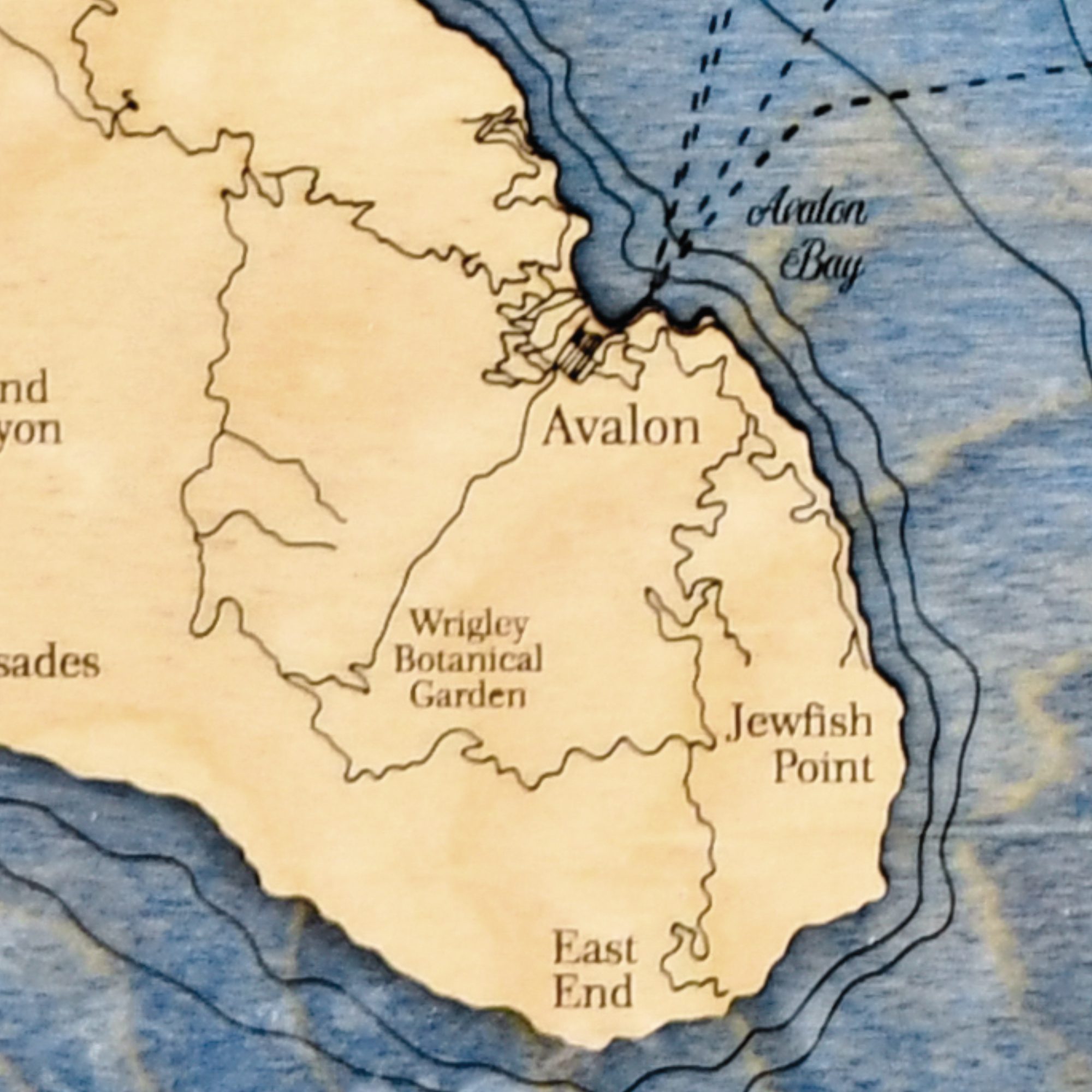 Catalina Island Detail