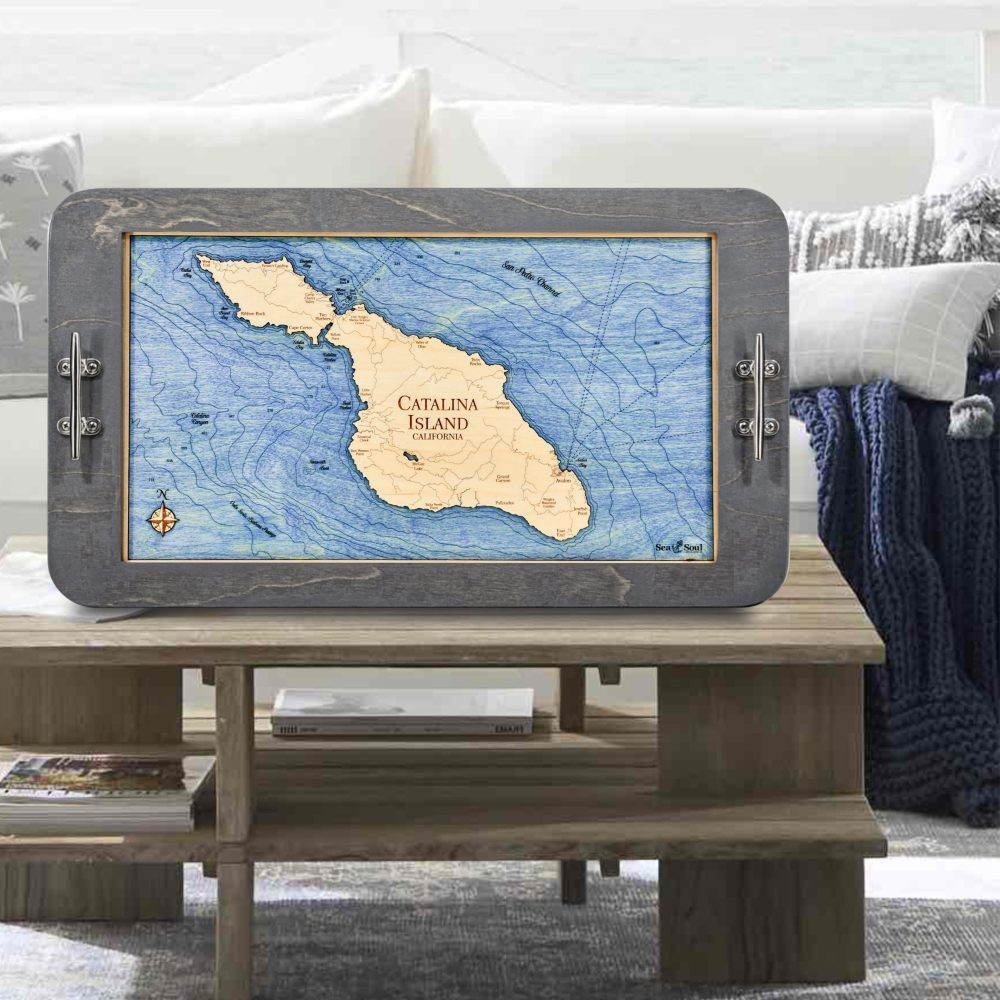 Catalina Island Driftwood with Deep Blue Water