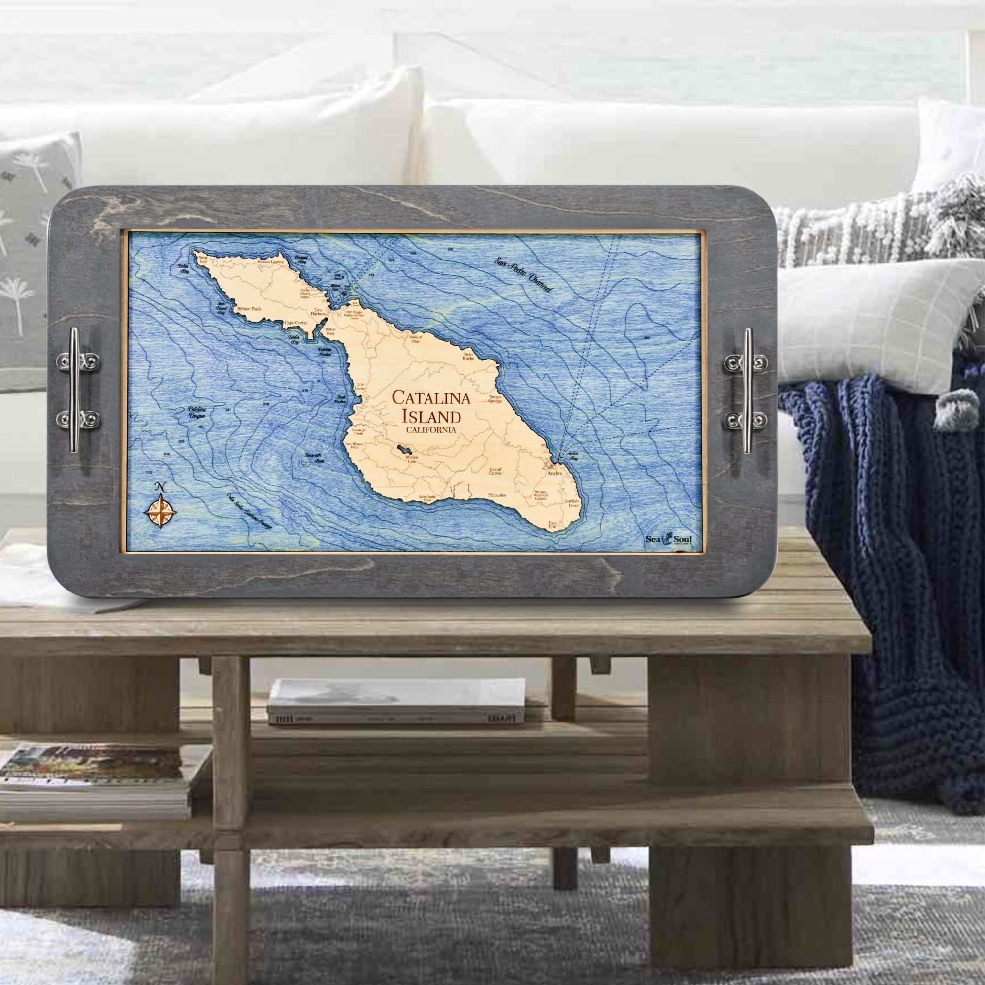 Catalina Island Driftwood with Deep Blue Water